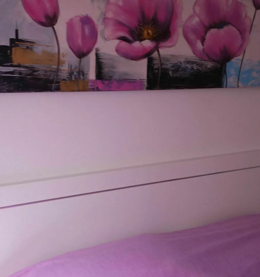 Modern Deluxe Two-Bedroom Apartment Cannes